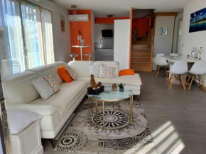 Magnifique rooftop duplex climatisé familial, aux ARCEAUX